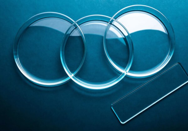 Three clean empty glass petri dishes and a glass microscope slide arranged on a dark teal surface
